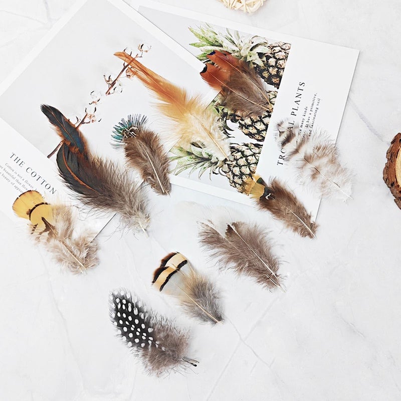 ANTUNIHOD 200pcs 10 Style Natural Feathers Assorted Mixed Feathers for Dream Catcher Crafts Decoration (10 Styles - 200 Pcs) - Image 2